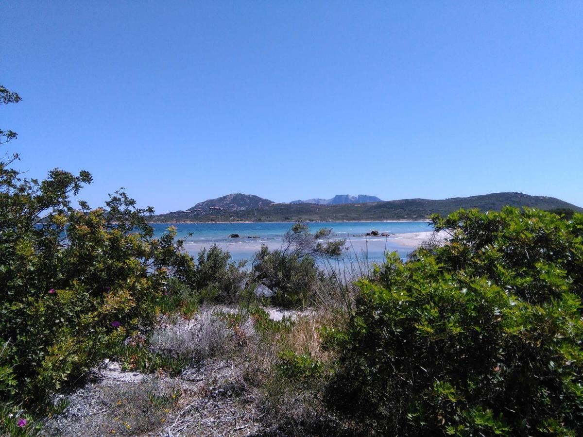 Apartmán Residenza Le Maree Murta Maria Exteriér fotografie