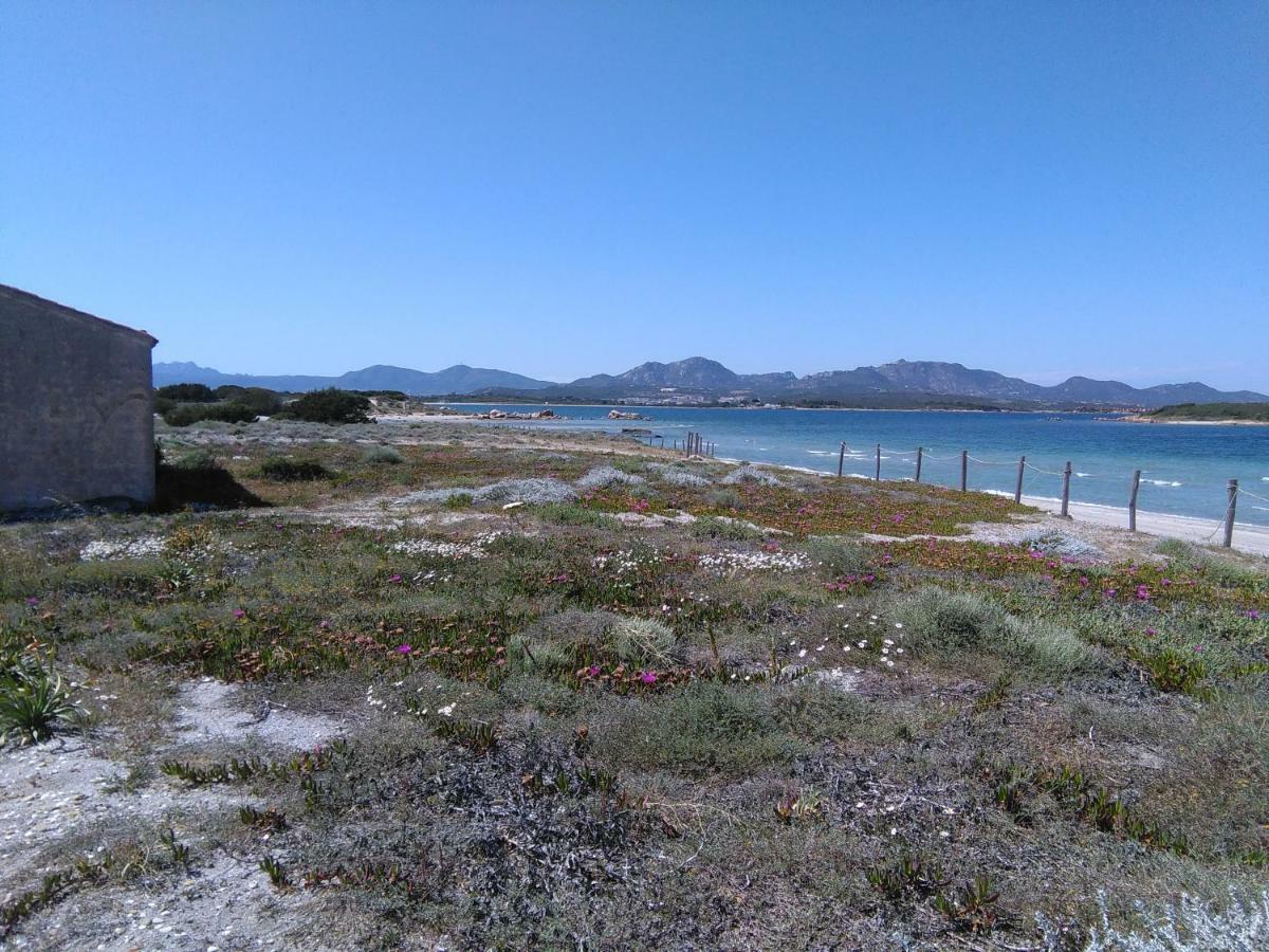 Apartmán Residenza Le Maree Murta Maria Exteriér fotografie