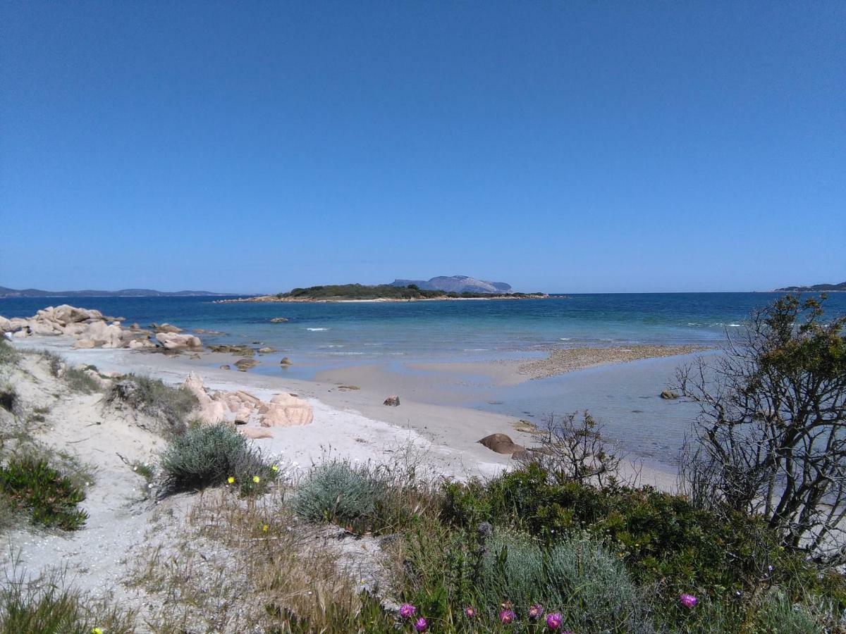 Apartmán Residenza Le Maree Murta Maria Exteriér fotografie