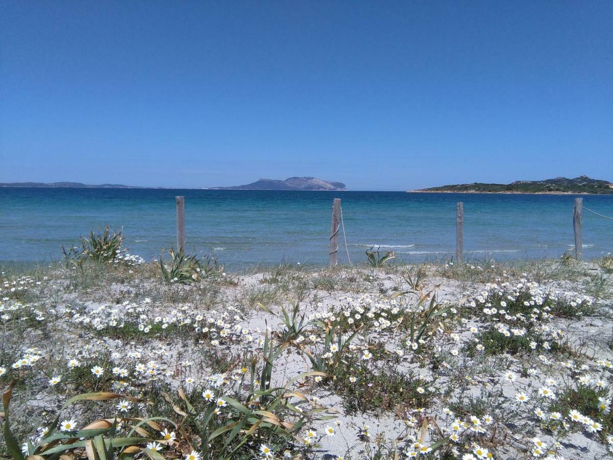 Apartmán Residenza Le Maree Murta Maria Exteriér fotografie
