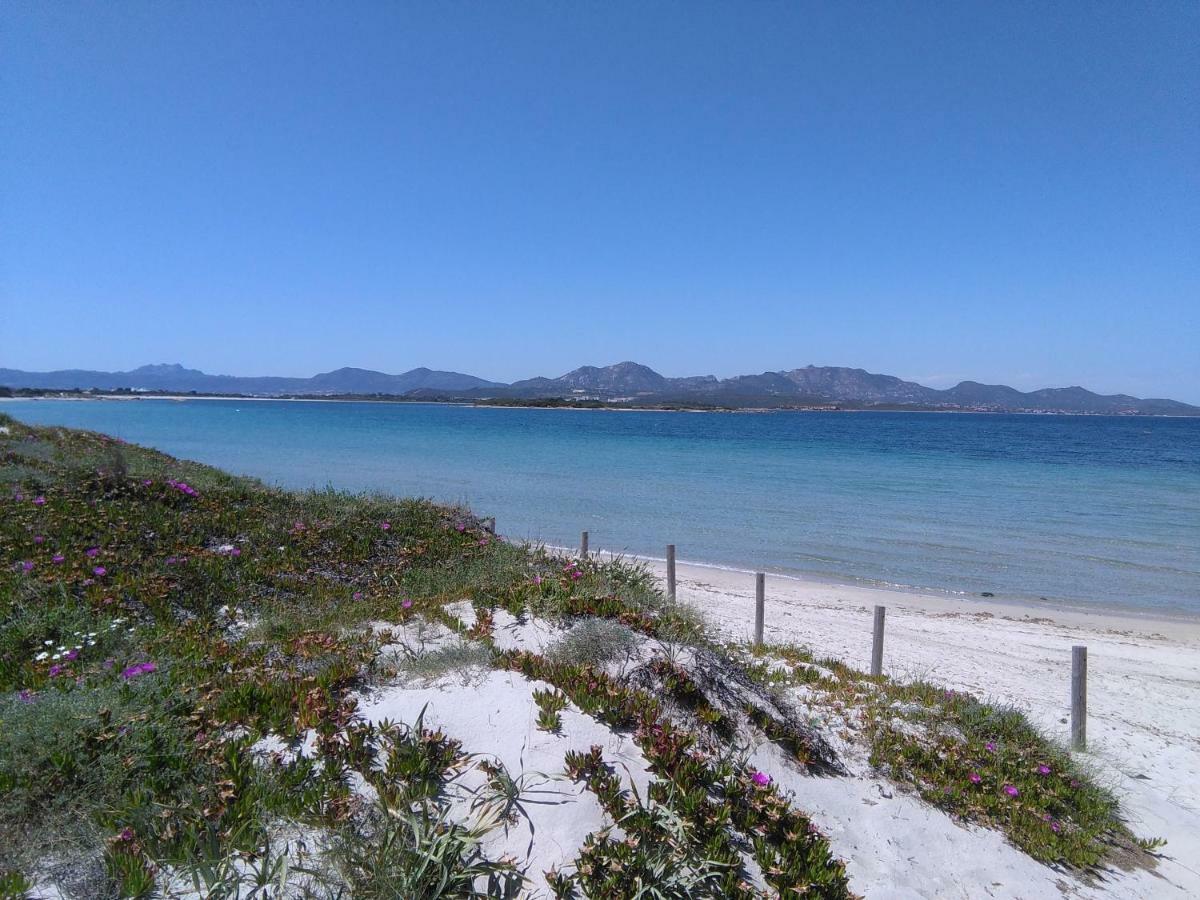 Apartmán Residenza Le Maree Murta Maria Exteriér fotografie