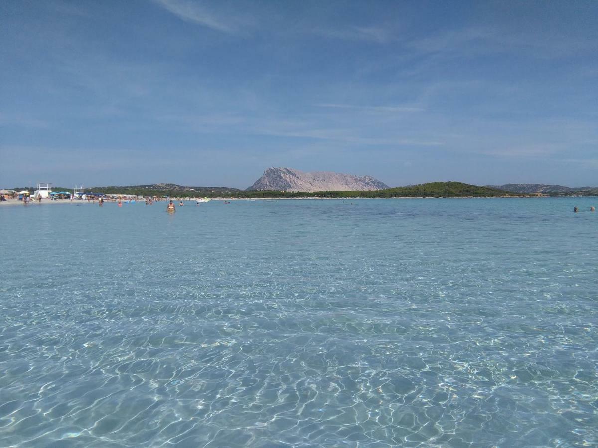 Apartmán Residenza Le Maree Murta Maria Exteriér fotografie